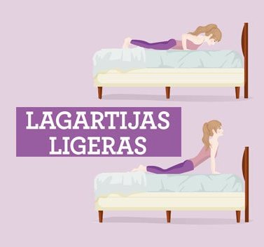 lagartijas ligeras