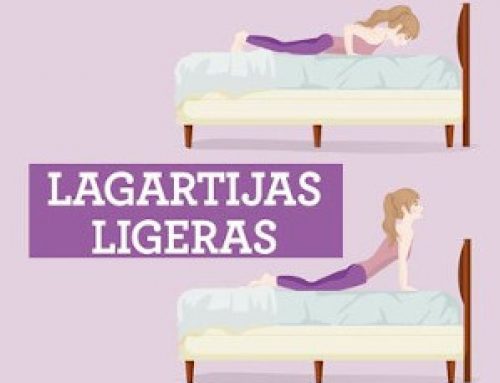 La cama el major gimnasio del mundo